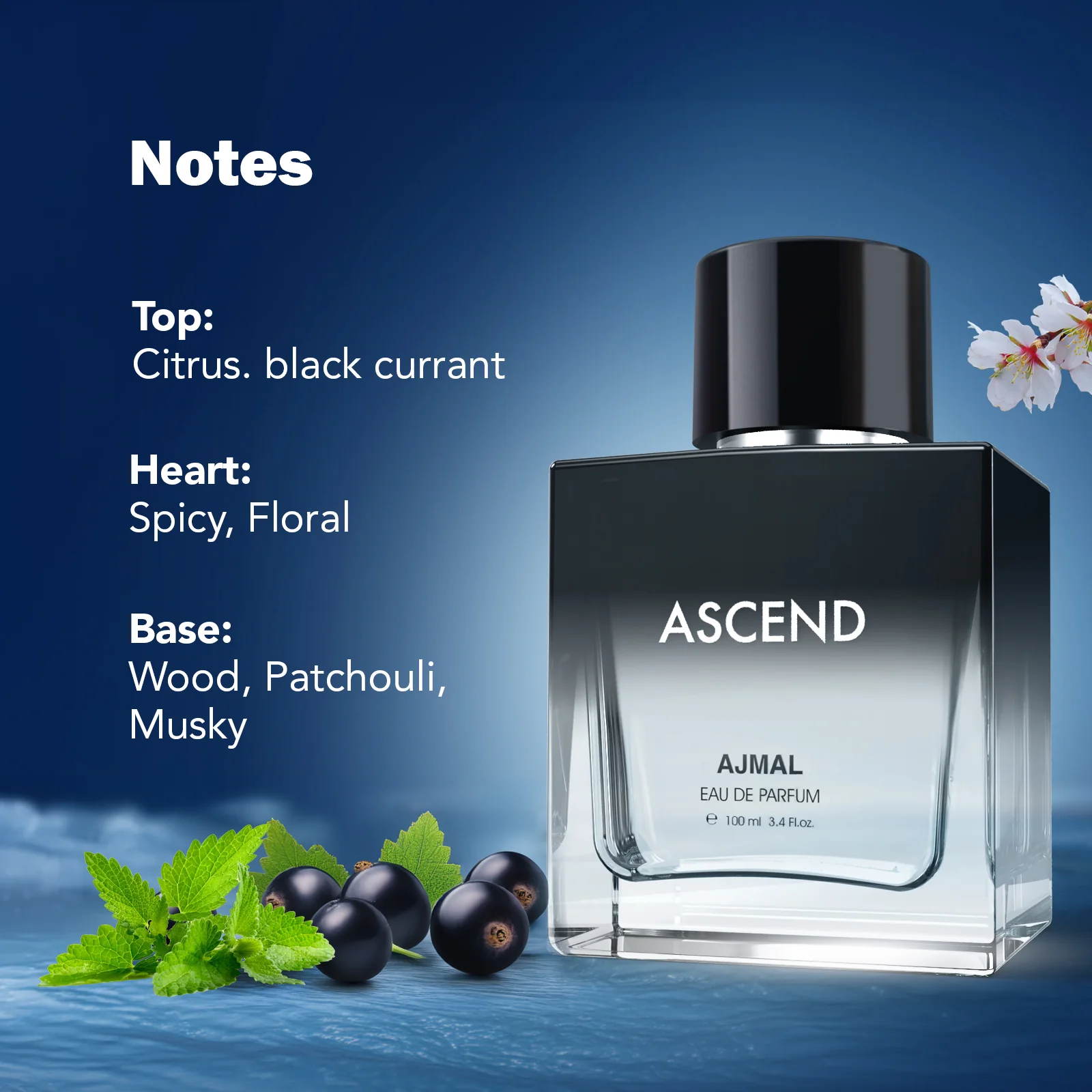 ASCEND Perfume 100ML for Men & Women - Image 5