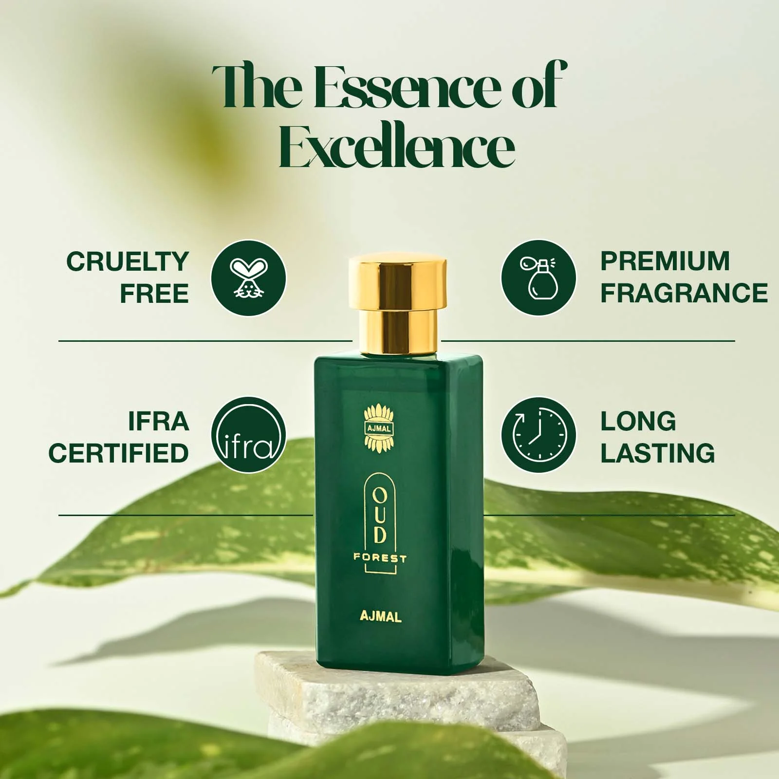 Oud Forest Perfume 50 ML for Unisex - Image 4
