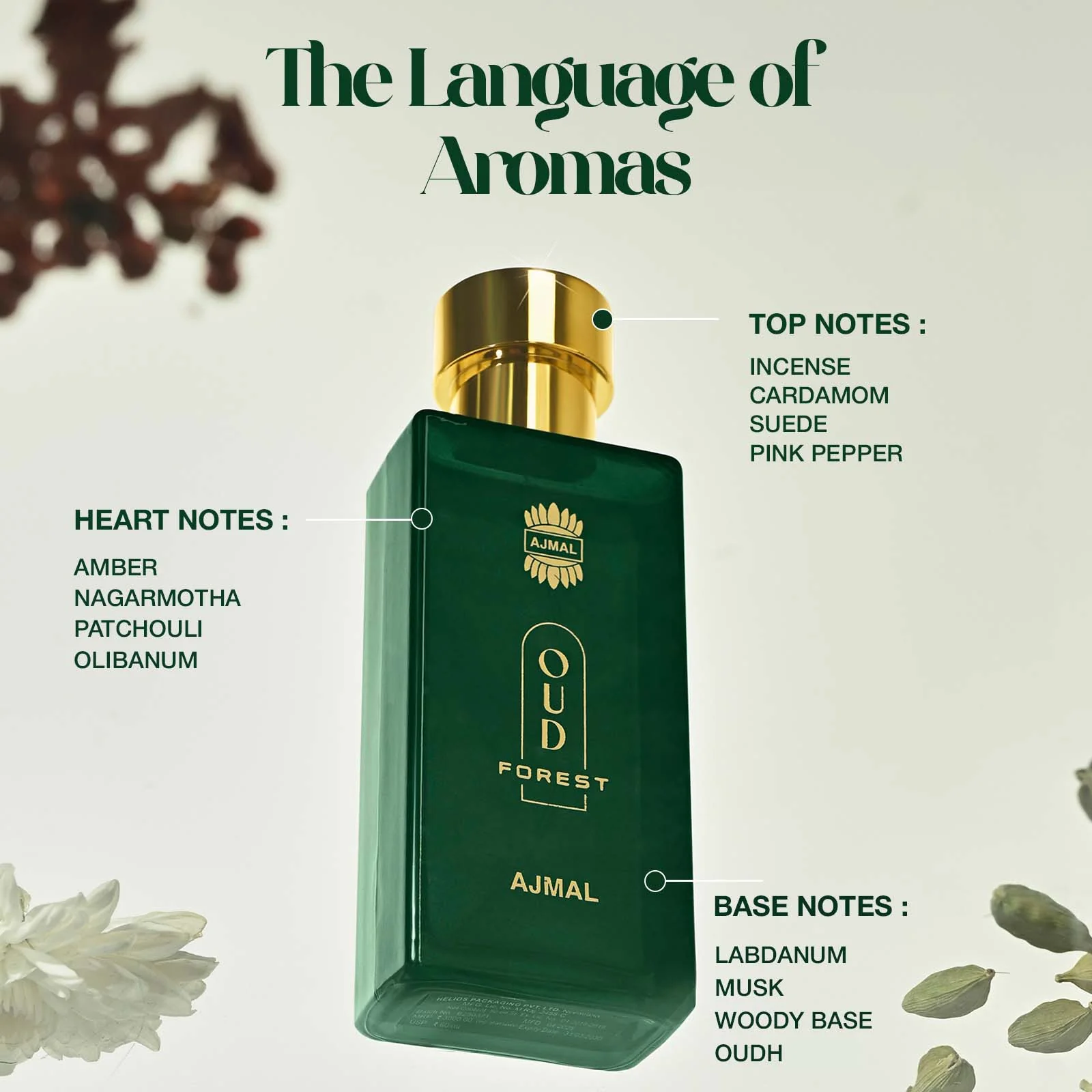 Oud Forest Perfume 50 ML for Unisex - Image 5
