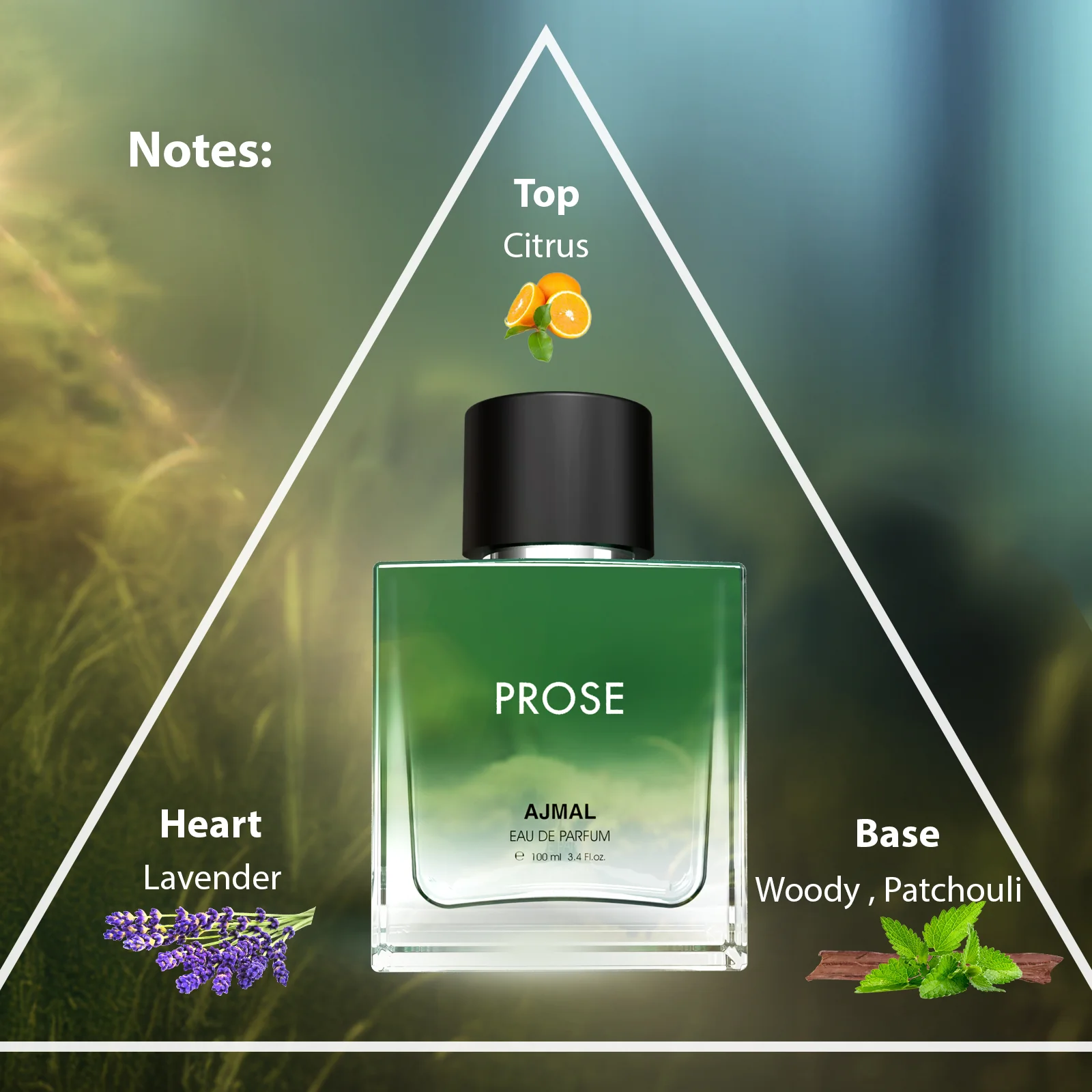 PROSE Perfume 100ML for Men - Image 4