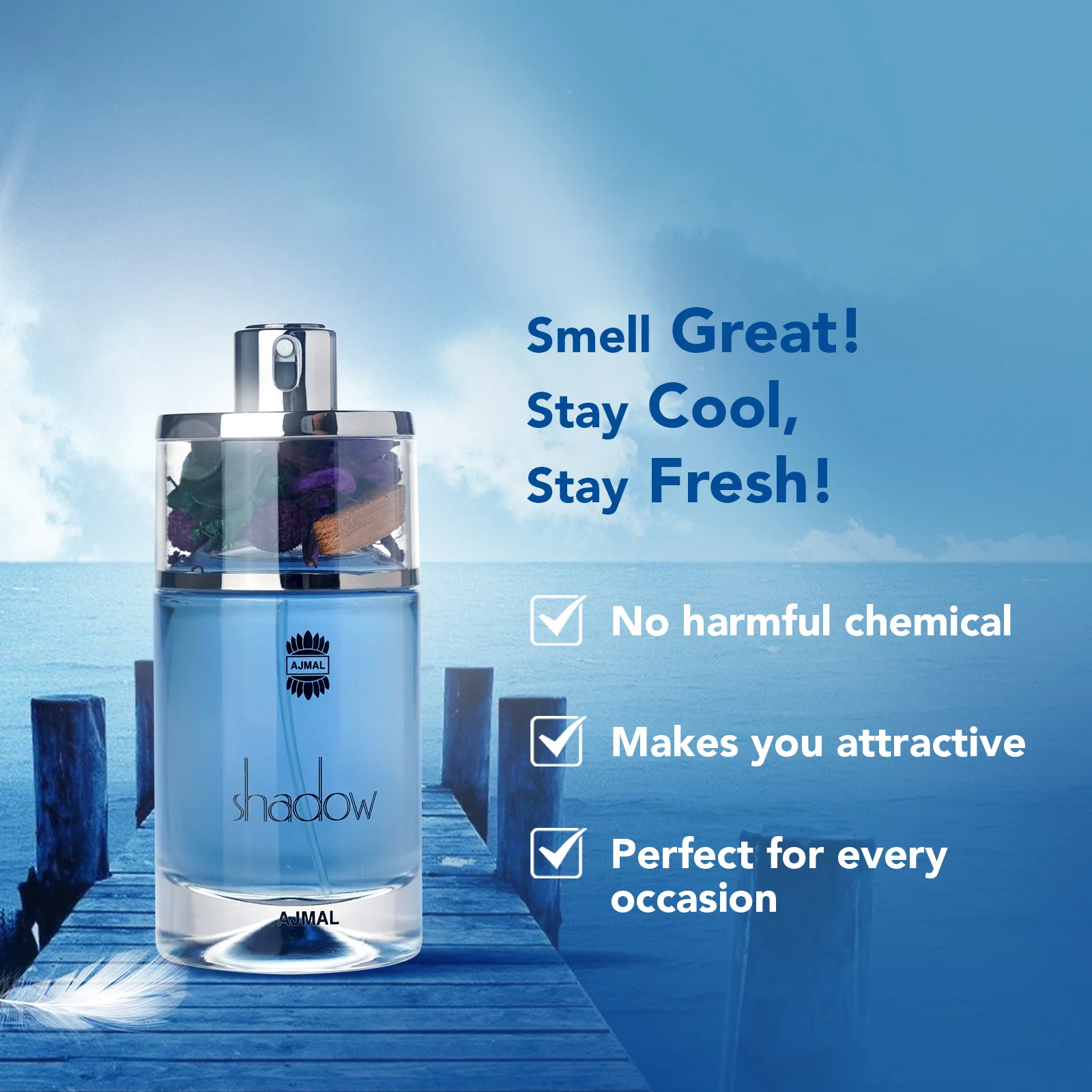 SHADOWII HOMME Perfume 75ML for Men - Image 5